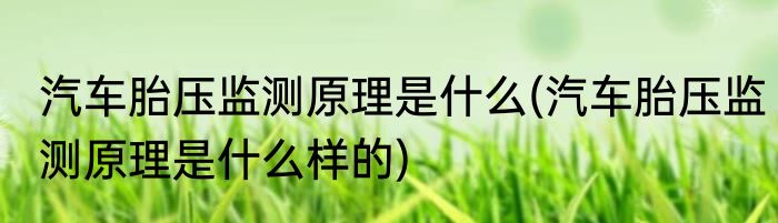 汽车胎压监测原理是什么(汽车胎压监测原理是什么样的)