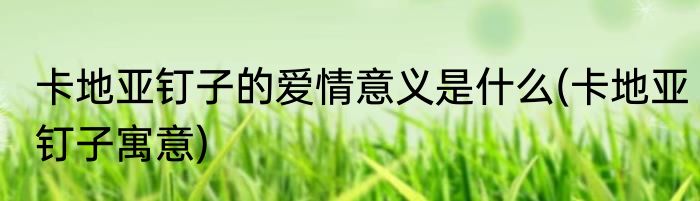 卡地亚钉子的爱情意义是什么(卡地亚钉子寓意)