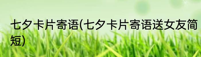 七夕卡片寄语(七夕卡片寄语送女友简短)