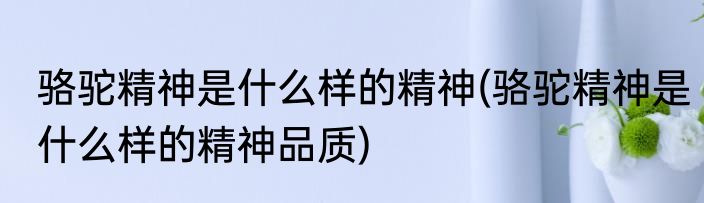 骆驼精神是什么样的精神(骆驼精神是什么样的精神品质)