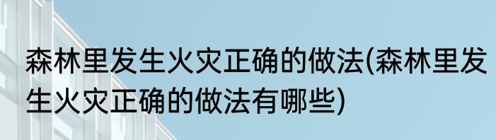 森林里发生火灾正确的做法(森林里发生火灾正确的做法有哪些)