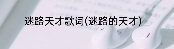 迷路天才歌词(迷路的天才)