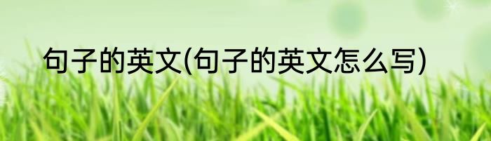 句子的英文(句子的英文怎么写)