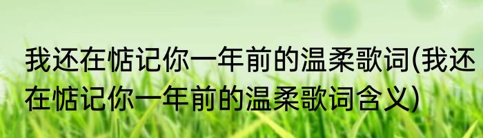 我还在惦记你一年前的温柔歌词(我还在惦记你一年前的温柔歌词含义)