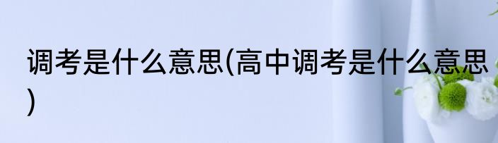 调考是什么意思(高中调考是什么意思)