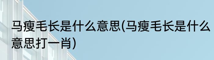 马瘦毛长是什么意思(马瘦毛长是什么意思打一肖)