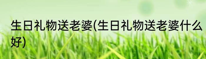 生日礼物送老婆(生日礼物送老婆什么好)