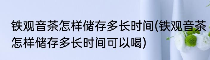 铁观音茶怎样储存多长时间(铁观音茶怎样储存多长时间可以喝)