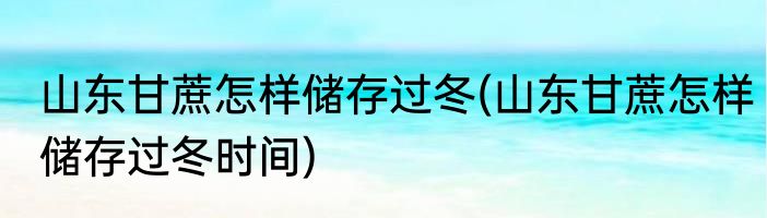 山东甘蔗怎样储存过冬(山东甘蔗怎样储存过冬时间)