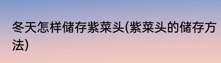 冬天怎样储存紫菜头(紫菜头的储存方法)