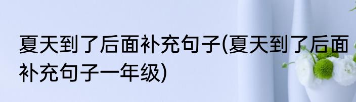 夏天到了后面补充句子(夏天到了后面补充句子一年级)