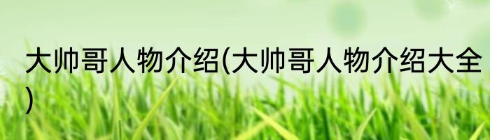 大帅哥人物介绍(大帅哥人物介绍大全)