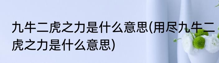 九牛二虎之力是什么意思(用尽九牛二虎之力是什么意思)