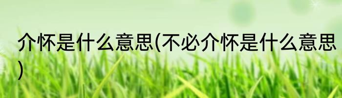 介怀是什么意思(不必介怀是什么意思)