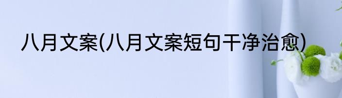 八月文案(八月文案短句干净治愈)