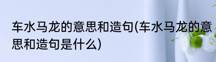 车水马龙的意思和造句(车水马龙的意思和造句是什么)