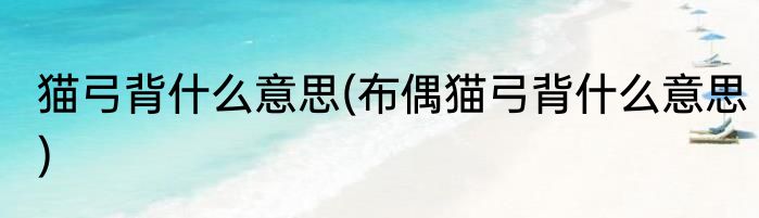 猫弓背什么意思(布偶猫弓背什么意思)