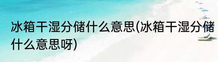 冰箱干湿分储什么意思(冰箱干湿分储什么意思呀)