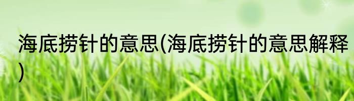 海底捞针的意思(海底捞针的意思解释)