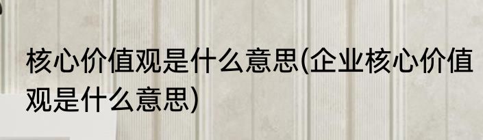 核心价值观是什么意思(企业核心价值观是什么意思)