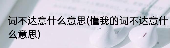 词不达意什么意思(懂我的词不达意什么意思)