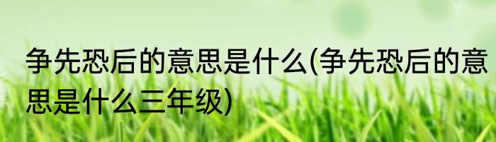 争先恐后的意思是什么(争先恐后的意思是什么三年级)