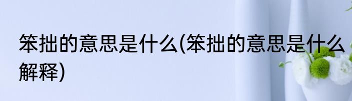 笨拙的意思是什么(笨拙的意思是什么解释)