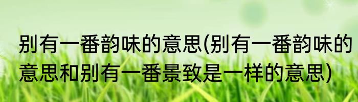 别有一番韵味的意思(别有一番韵味的意思和别有一番景致是一样的意思)