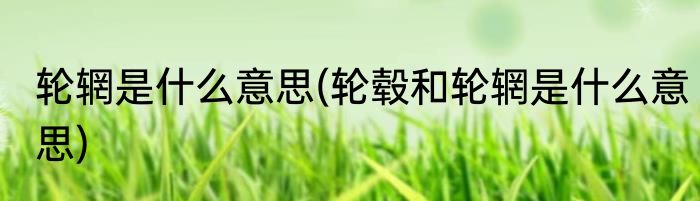 轮辋是什么意思(轮毂和轮辋是什么意思)