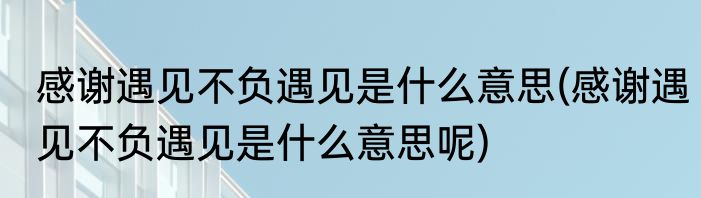 感谢遇见不负遇见是什么意思(感谢遇见不负遇见是什么意思呢)