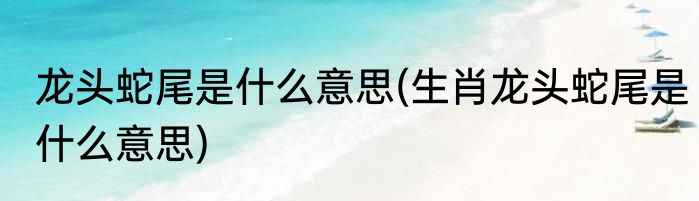 龙头蛇尾是什么意思(生肖龙头蛇尾是什么意思)