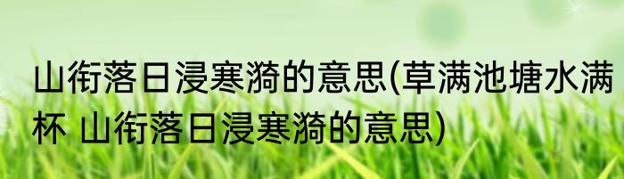 山衔落日浸寒漪的意思(草满池塘水满杯 山衔落日浸寒漪的意思)