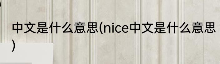 中文是什么意思(nice中文是什么意思)