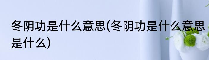 冬阴功是什么意思(冬阴功是什么意思是什么)