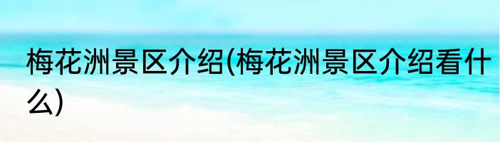 梅花洲景区介绍(梅花洲景区介绍看什么)