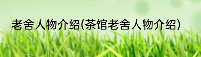 老舍人物介绍(茶馆老舍人物介绍)