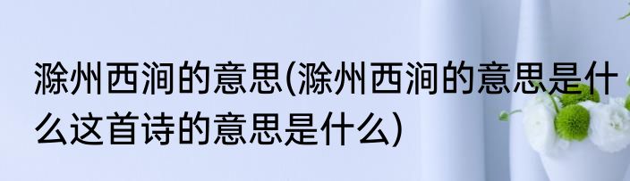 滁州西涧的意思(滁州西涧的意思是什么这首诗的意思是什么)