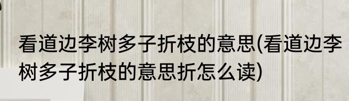 看道边李树多子折枝的意思(看道边李树多子折枝的意思折怎么读)