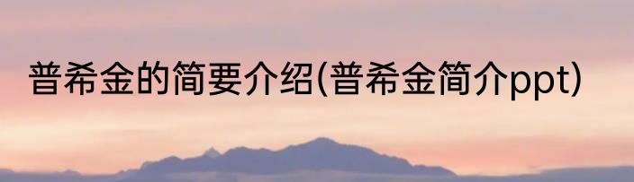 普希金的简要介绍(普希金简介ppt)