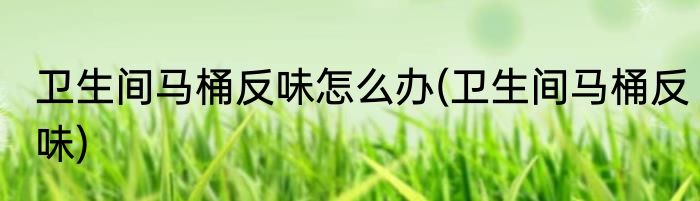 卫生间马桶反味怎么办(卫生间马桶反味)