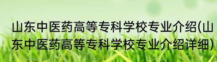 山东中医药高等专科学校专业介绍(山东中医药高等专科学校专业介绍详细)