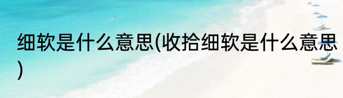 细软是什么意思(收拾细软是什么意思)