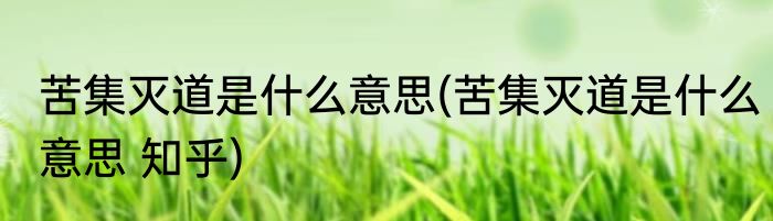 苦集灭道是什么意思(苦集灭道是什么意思 知乎)