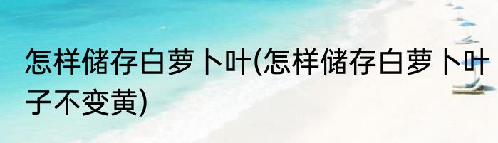 怎样储存白萝卜叶(怎样储存白萝卜叶子不变黄)
