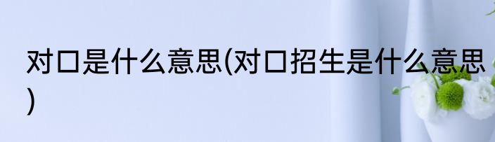 对口是什么意思(对口招生是什么意思)