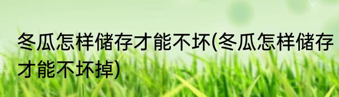 冬瓜怎样储存才能不坏(冬瓜怎样储存才能不坏掉)