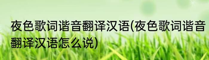 夜色歌词谐音翻译汉语(夜色歌词谐音翻译汉语怎么说)