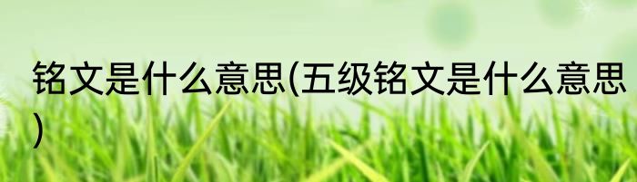 铭文是什么意思(五级铭文是什么意思)