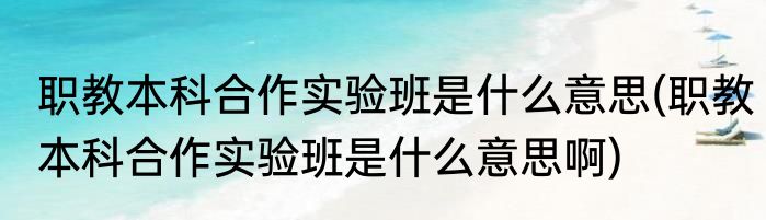 职教本科合作实验班是什么意思(职教本科合作实验班是什么意思啊)