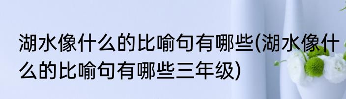湖水像什么的比喻句有哪些(湖水像什么的比喻句有哪些三年级)